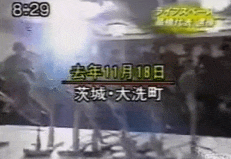 life-space13.gif