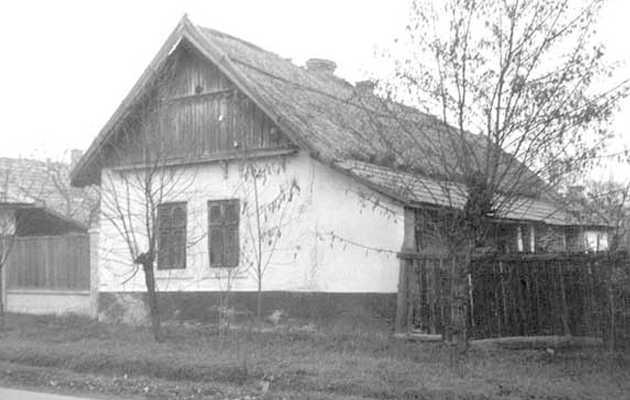 nagyrev04
